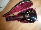 Epiphone dot 335 in great conditions! with hiscox case!