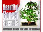 Beautiful Bonsai Secrets