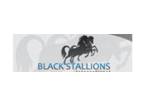Black Stallions International VoIP Provider